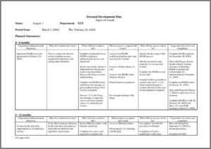 Process Improvement Project Plan Template