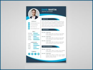 Professional Curriculum Vitae Template Free Download