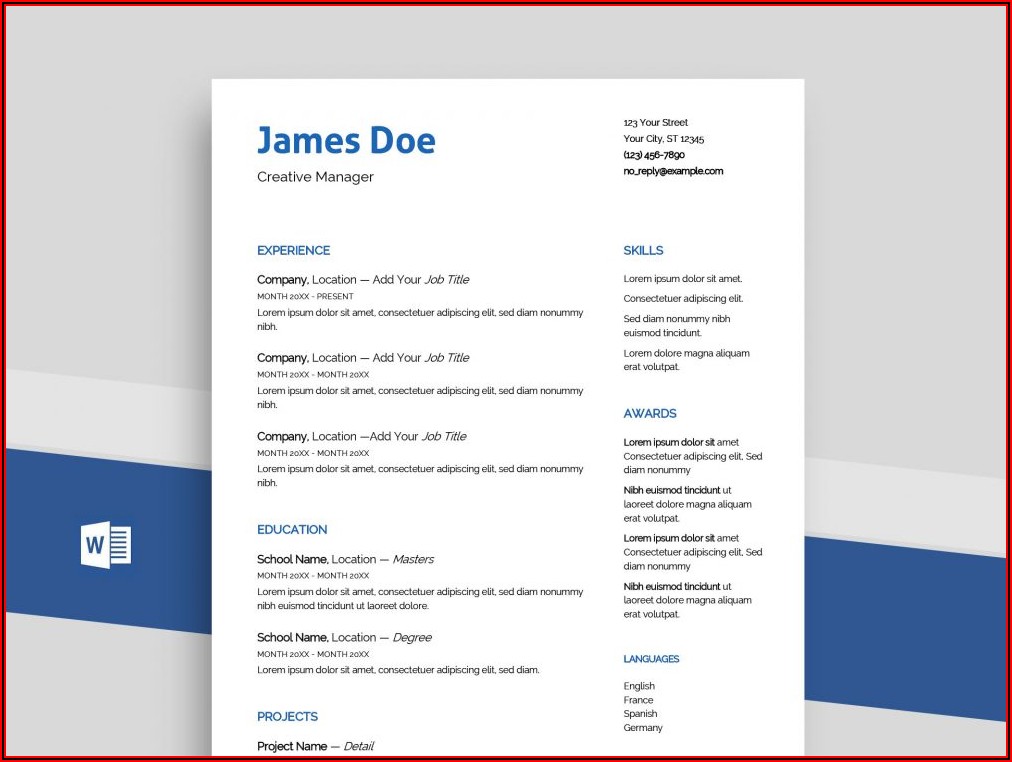 Professional Resume Template Download Word