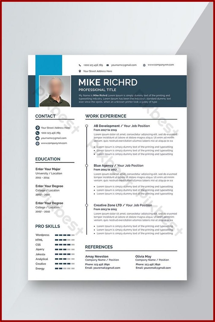 Professional Resume Template Download