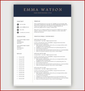 Professional Resume Templates Download Free