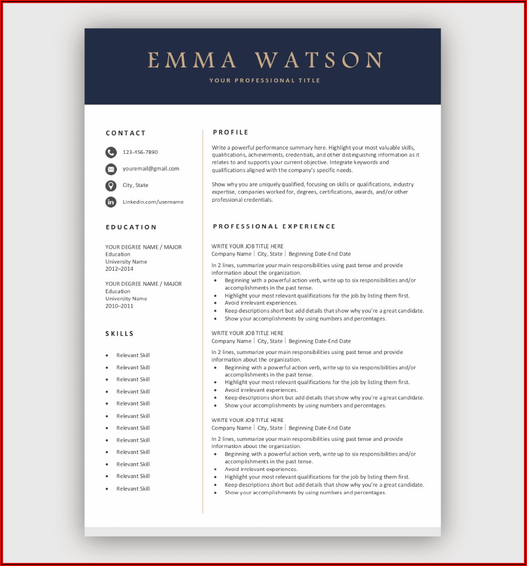 Professional Resume Templates Download Free