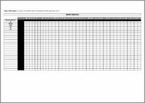 Project Management Timesheet Template
