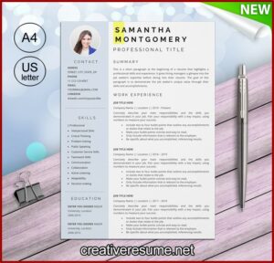 Project Manager Resume Template Word