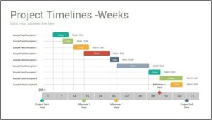 Project Timeline Template Excel Free Download