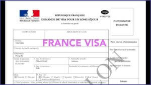 Qatar Visa Application Form