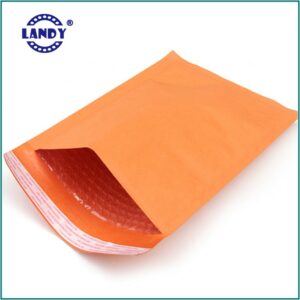 Regular Padded Tamper Proof Envelope