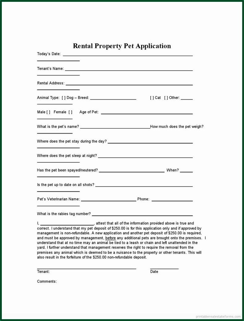 Room Rent Contract Template