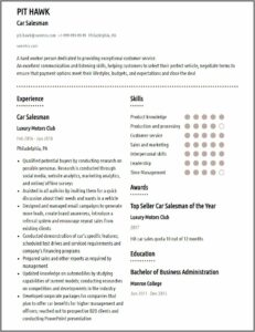 Sales Agent Cv Template