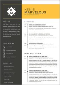 Sales Person Cv Template
