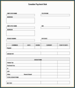 Sample Of Pay Stub Template Free