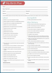 Sample Rental Property Business Plan Template