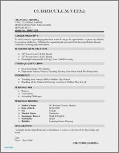 Simple Resume Format Pdf Download For Freshers