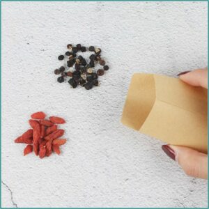 Small Brown Coin Envelopes