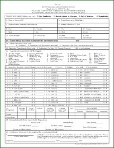 Usdot Number Application Form