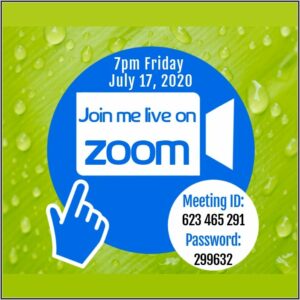Zoom Webinar Invitation Email Template