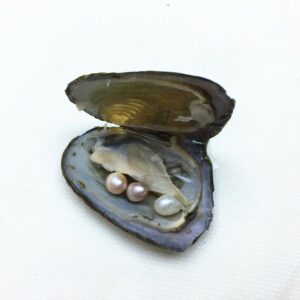 7 Patient Centered Pearls To Wow New Patients (part Ii Of Iii)