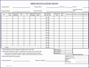 Free Blank Expense Report Template