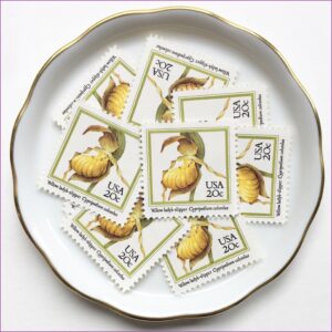 Mailing Wedding Invitations Usps