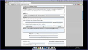 Michigan Secretary Of State Llc Forms