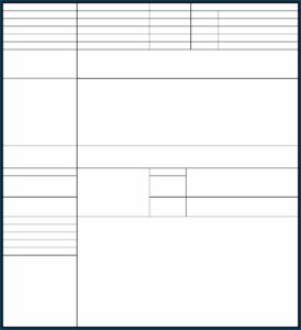 Sales Call Report Form