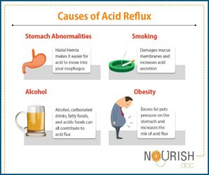 Acid And Alkaline Forming Foods