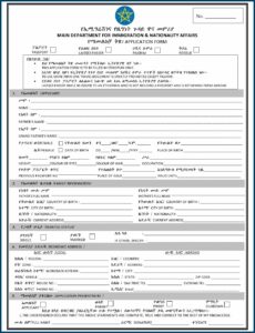 Ethiopian Passport Renewal Application Form In Canada