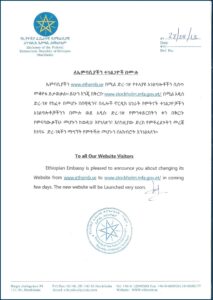Ethiopian Passport Renewal Application Form Pdf