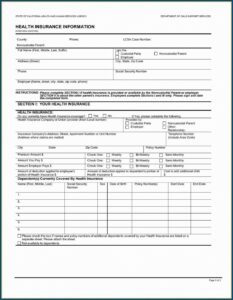 Fake Renters Insurance Form