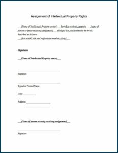 Intellectual Property Rights Agreement Template