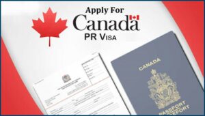Application For India Visa From Canada
