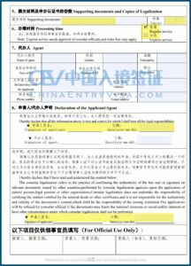 Application Form For Chinese Visa
