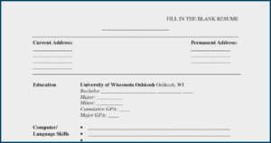 Blank Cv Format In Ms Word 2007 Free Download