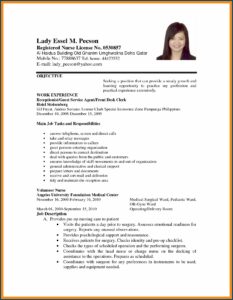 Blank Cv Format Pdf