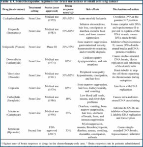 Chemotherapy In Pill Form For Lung Cancer
