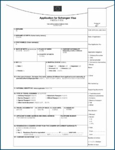 China Visa Application Form