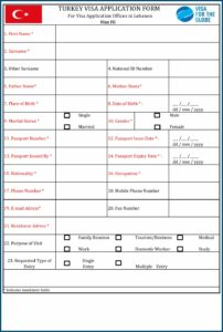 China Z Visa Application Form Download