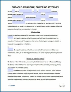 Durable Power Of Attorney Medical And Financial Form