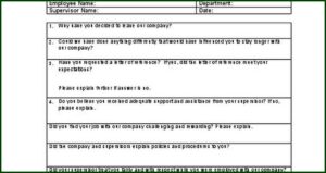 Exit Interview Form Template Doc