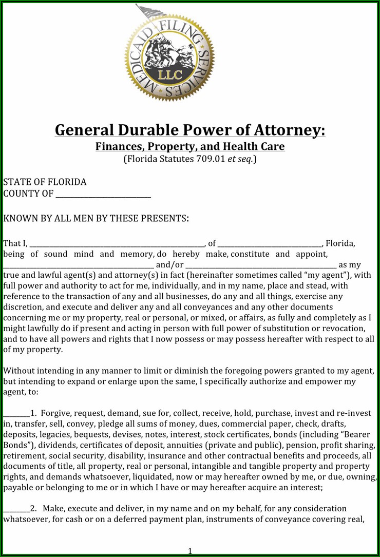 Florida Statutory Durable Power Of Attorney Form