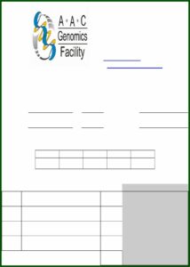 Free Fillable Invoice Pdf