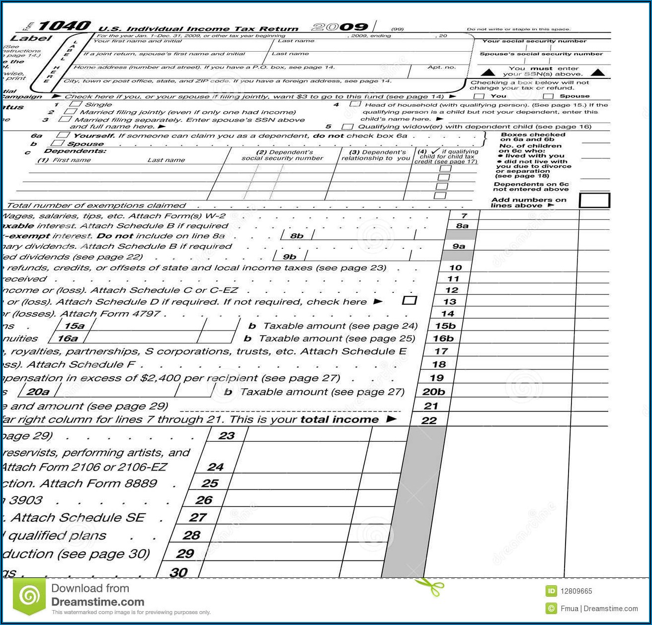Income Tax Statement Blank Form