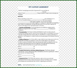 Legal Paperwork For Child Custody