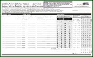Osha Form 300a Pdf