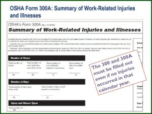 Osha's Form 300a (rev. 012004)