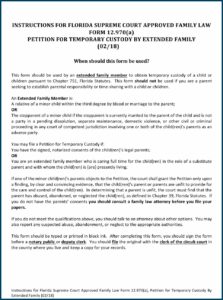 Parental Consent Form For Temporary Custody Florida