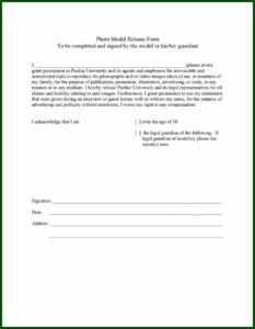 Photo Model Release Form Pdf