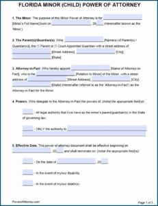 Temporary Custody Form In Florida