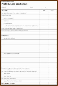 Blank Profit And Loss Template