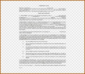 Commercial Rental Contract Template